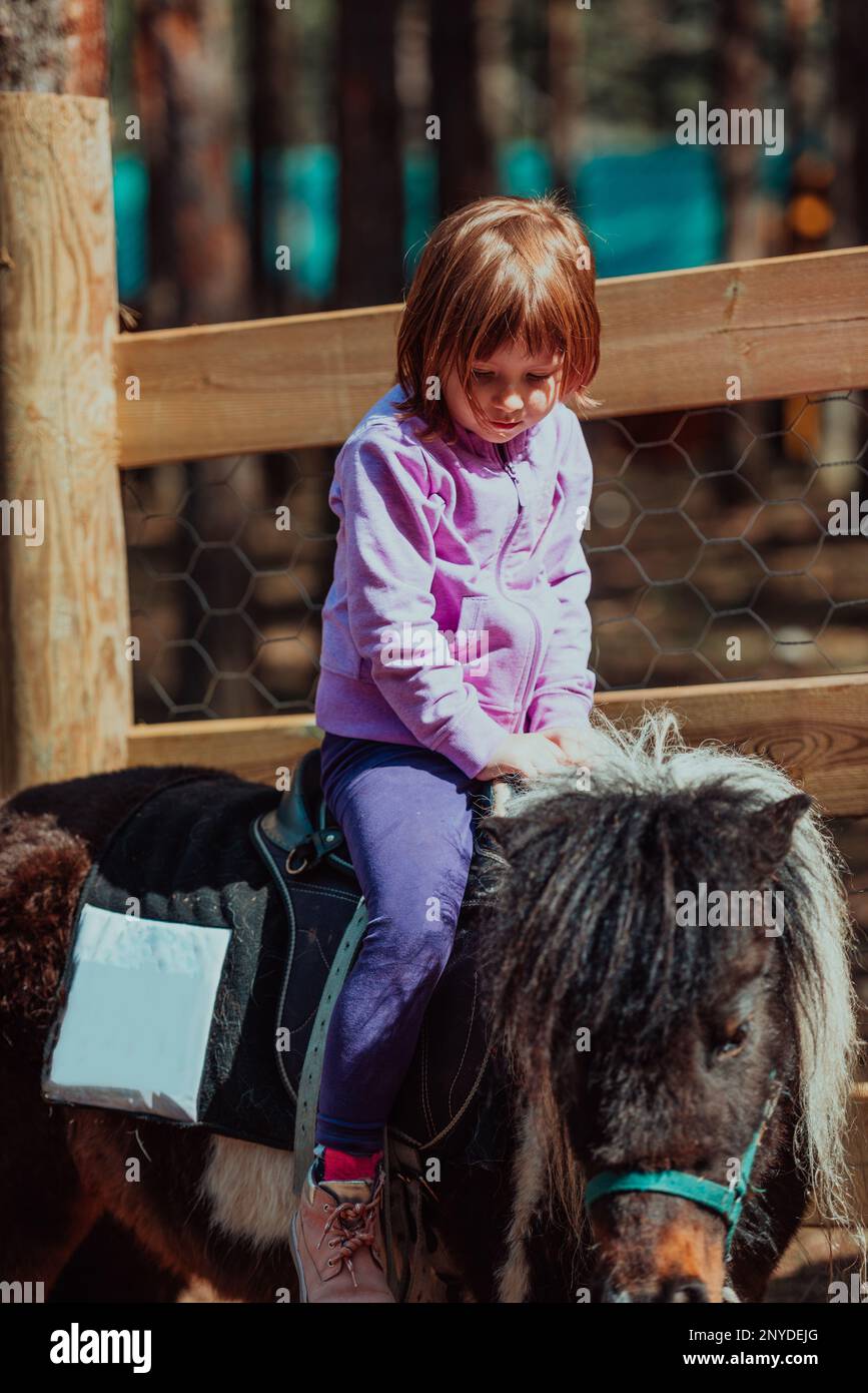 Little Happy Girl Having Fun In The Park While Riding Small Horses little-happy-girl-having-fun-in-the-park-while-riding-small-horses