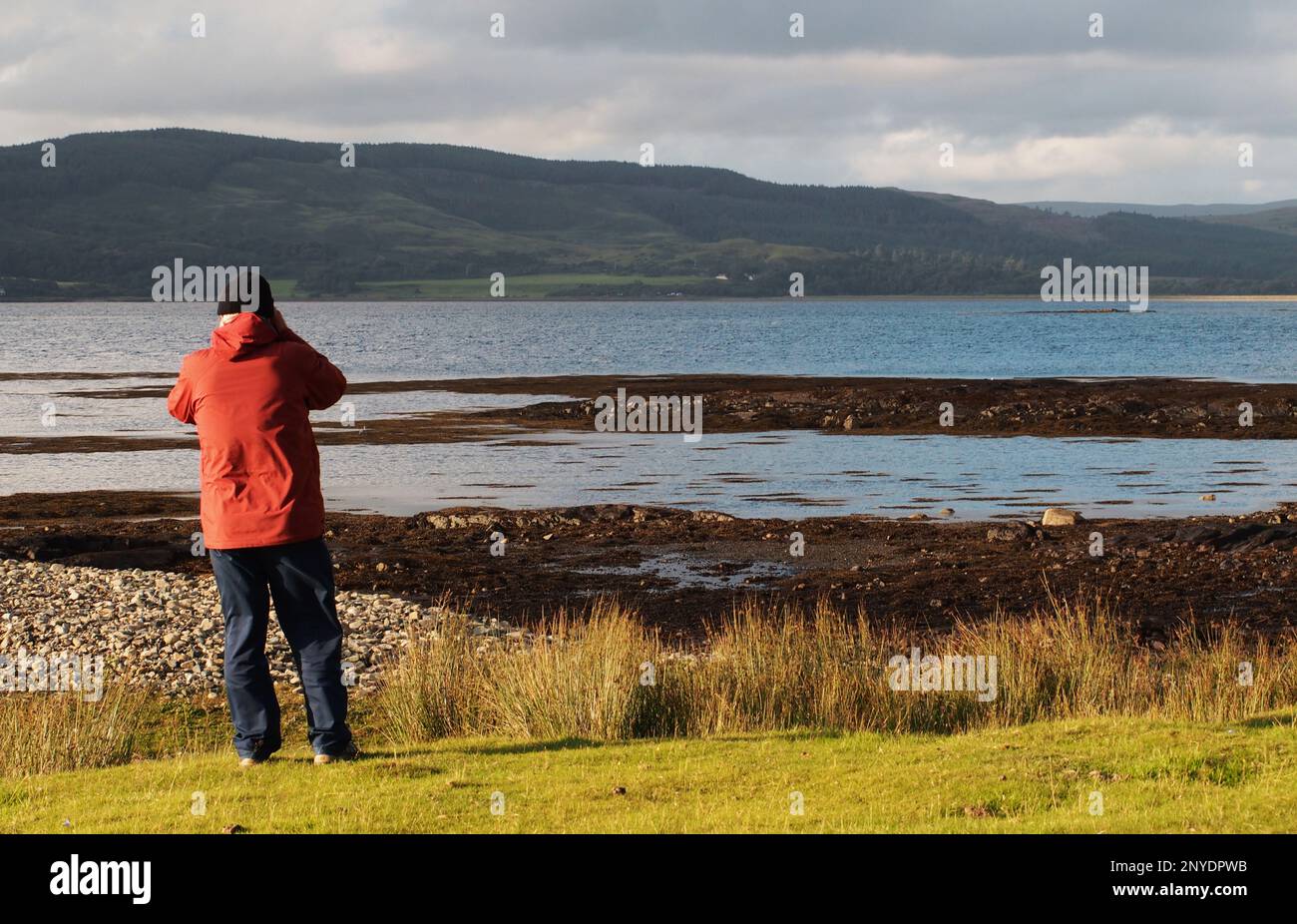A man 60+ wearing a red coat and black wooly hat, looking through binoculars, birdwatching, across Loch Na Keal, Mull, Scotland. UK Stock Photo