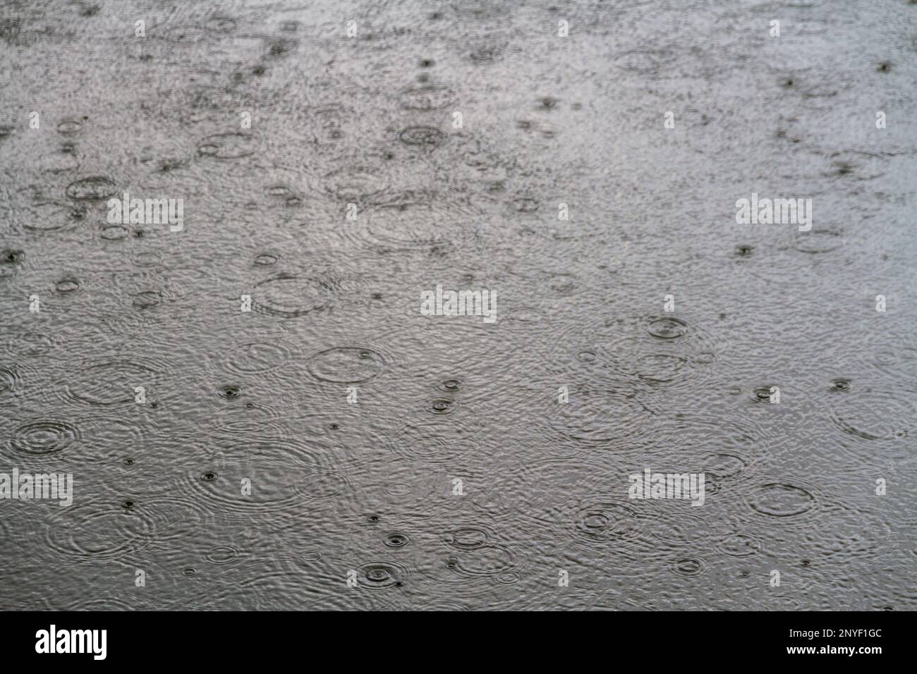 Raindrops falling onto water. Stock Photo