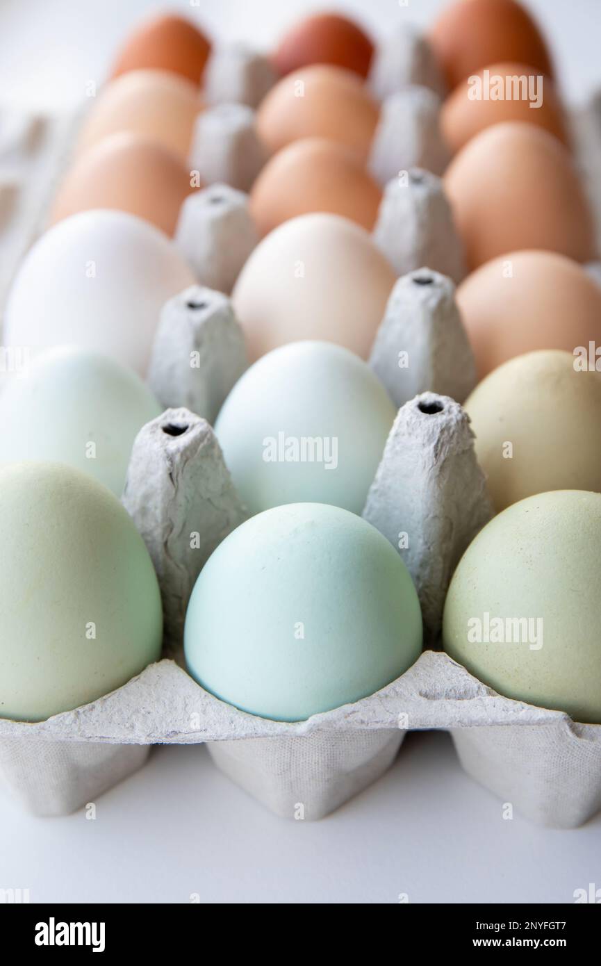 Lot of different color chicken eggs arranged by color on paper egg box. All sorts of colors: blue, green, white, beige, brown. Stock Photo
