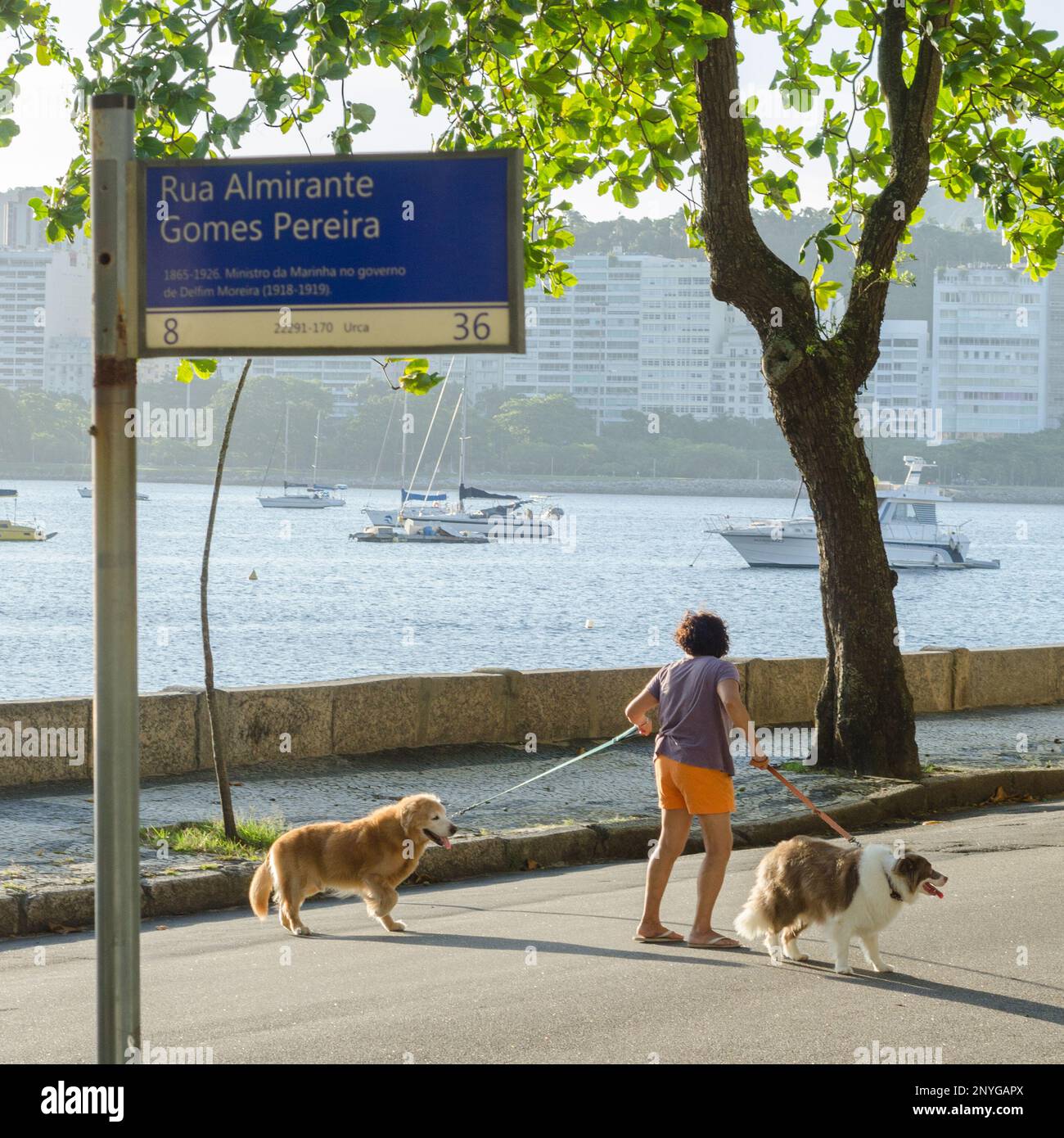 Woman walking two dogs in Urca, Rio de Janeiro, Brazil Stock Photo