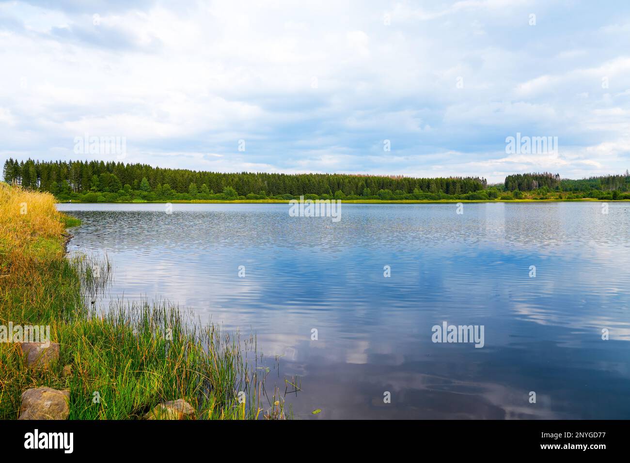 Hirschler pond near ClausthalZellerfeld in the Harz Mountains