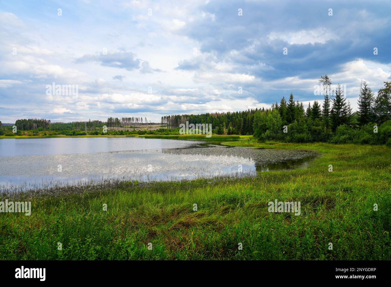 Hirschler pond hires stock photography and images Alamy