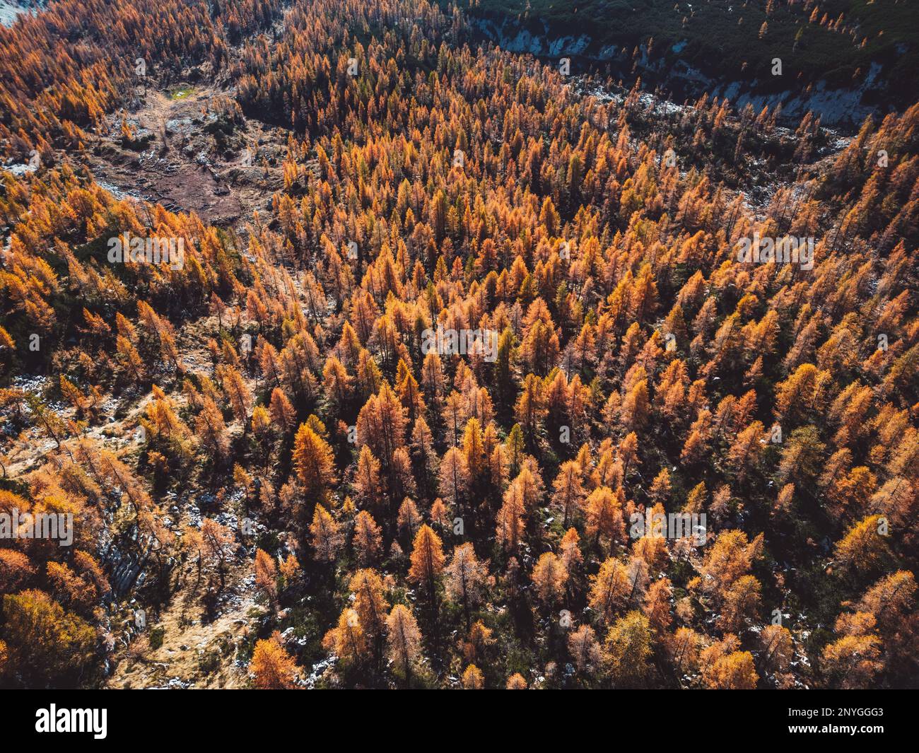 Flying over the autumn forest hi-res stock photography and images - Alamy