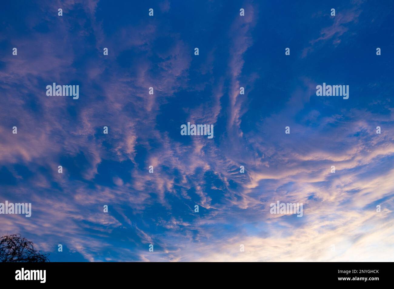 Altocumulus cloud formation, UK. Stock Photo