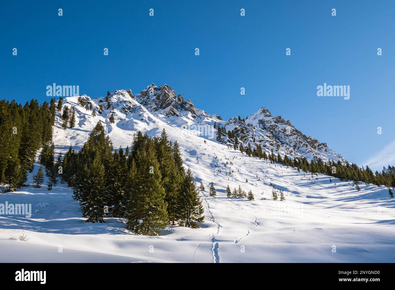 Skihang im Montafon, Österreich Stock Photo