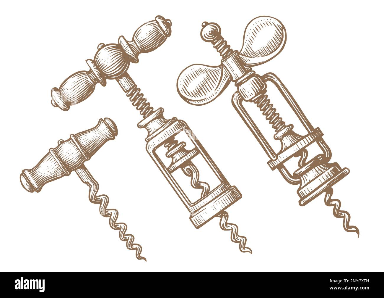 Hand drawn corkscrew in engraving style. Vintage style. Sketch vector illustration Stock Vector