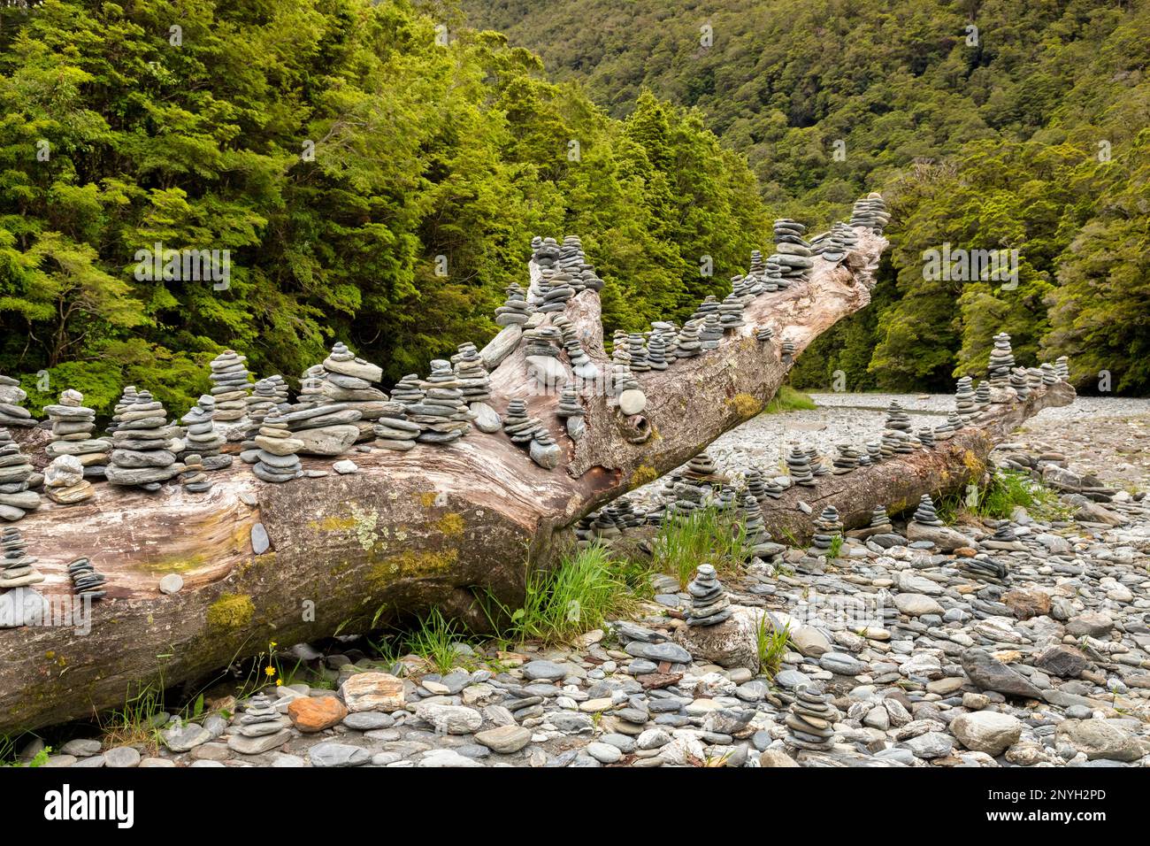 An old tree trunk in a river bed, which has been covered in stone cairns by tourists, near Fantail Falls, on the West Coast of the South Island, New... Stock Photo