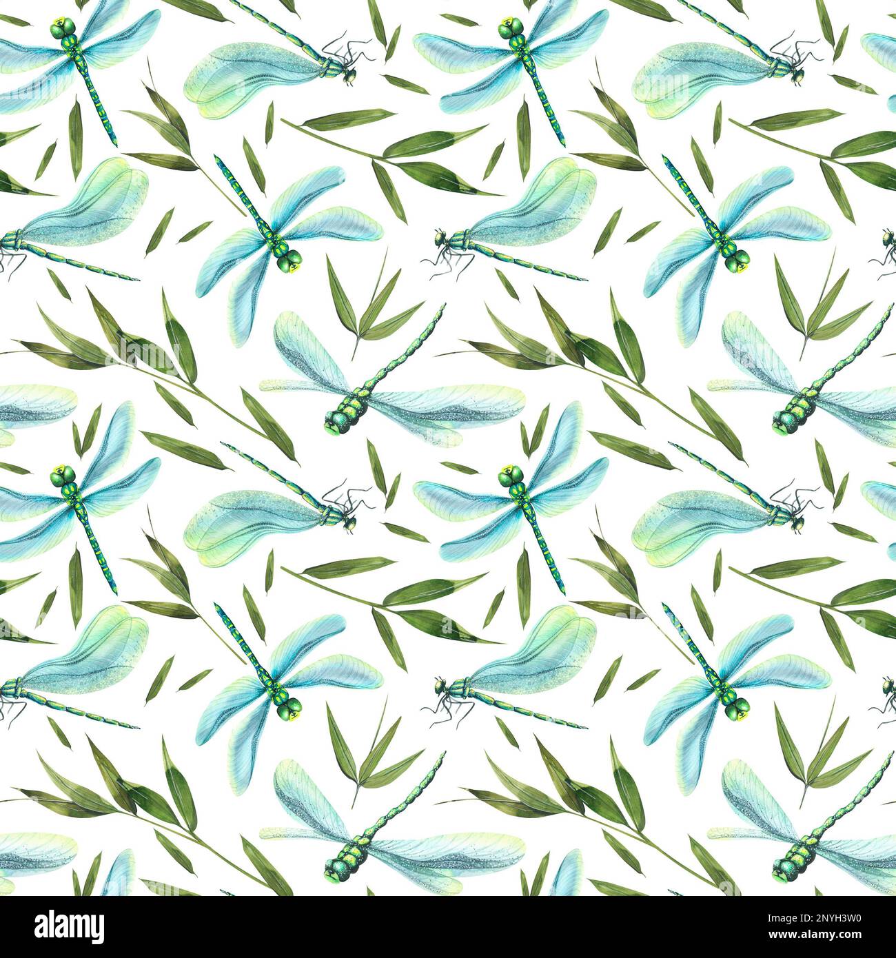Blue dragonflies with bamboo leaves. Summer, gentle, light. Watercolor ...