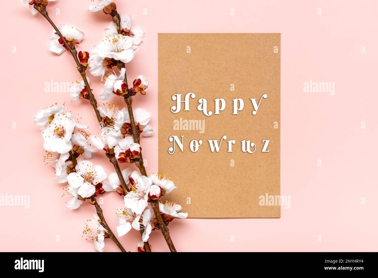 Sprigs of the apricot tree with flowers on pink background Text Happy Nowruz Holiday Concept of spring came Top view Flat lay Hello march, persian new Stock Photo