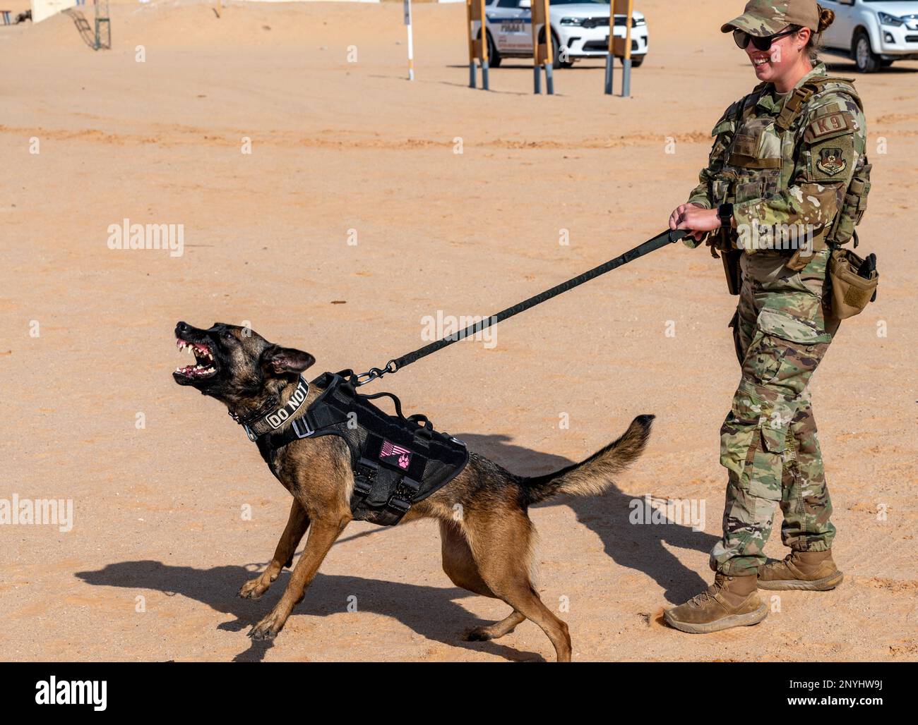 Us Air Force Staff Sgt Leirin Simmons A K9 Handler With The 378th