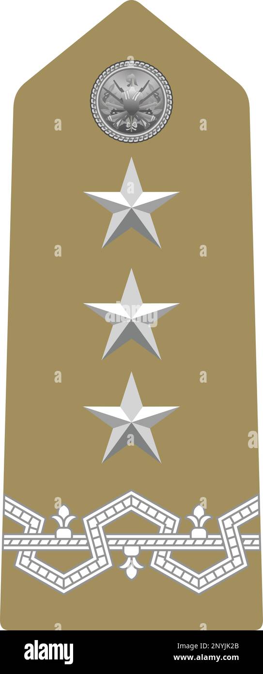 Shoulder pad military officer insignia of the Italy GENERALE DI CORPO D'ARMATA (LIEUTENANT GENERAL OF ARMY CORPS) Stock Vector