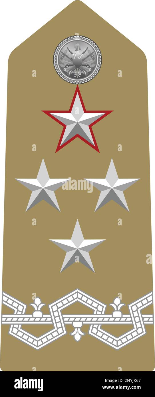 Shoulder pad military officer insignia of the Italy GENERALE DI CORPO D'ARMATA CON INCARICHI SPECIALI (LIEUTENANT GENERAL - SPECIAL IN CHARGES) Stock Vector