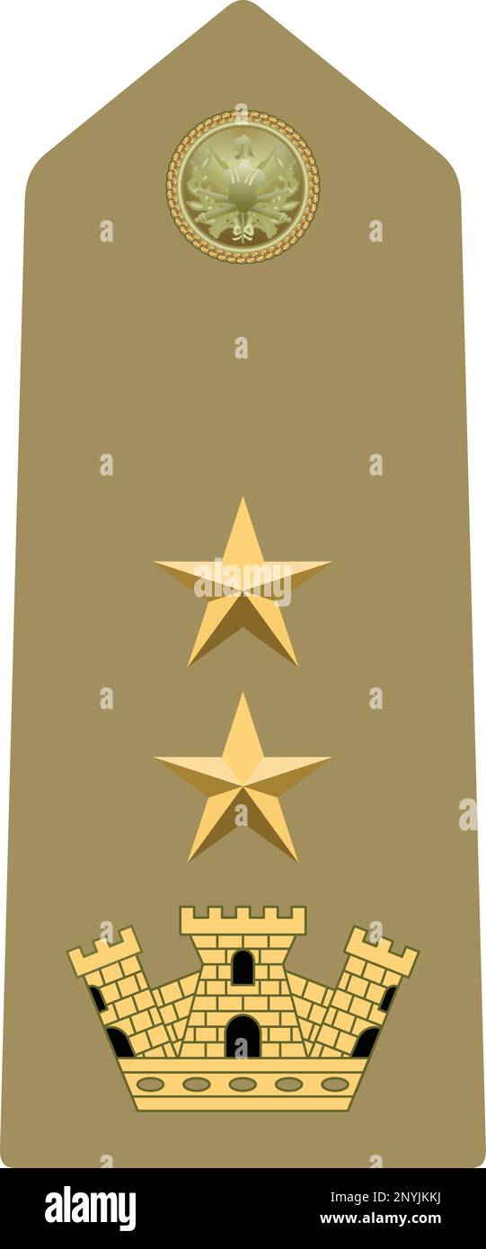 Shoulder pad military officer insignia of the Italy TENENTE COLONNELLO (LIEUTENANT COLONEL) Stock Vector