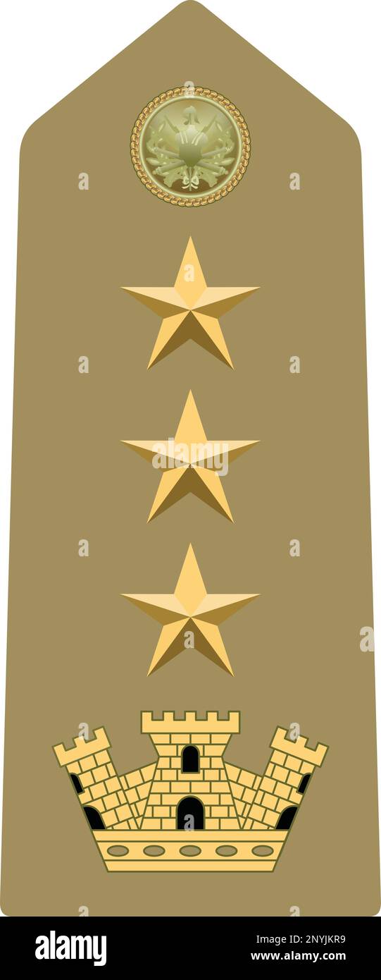 Shoulder pad military officer insignia of the Italy COLONNELLO (COLONEL) Stock Vector