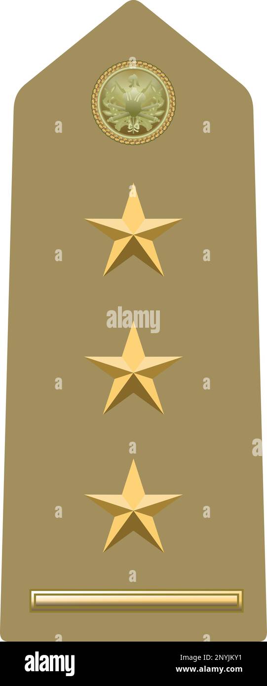 Shoulder pad military officer insignia of the Italy PRIMO CAPITANO (FIRST CAPTAIN) Stock Vector