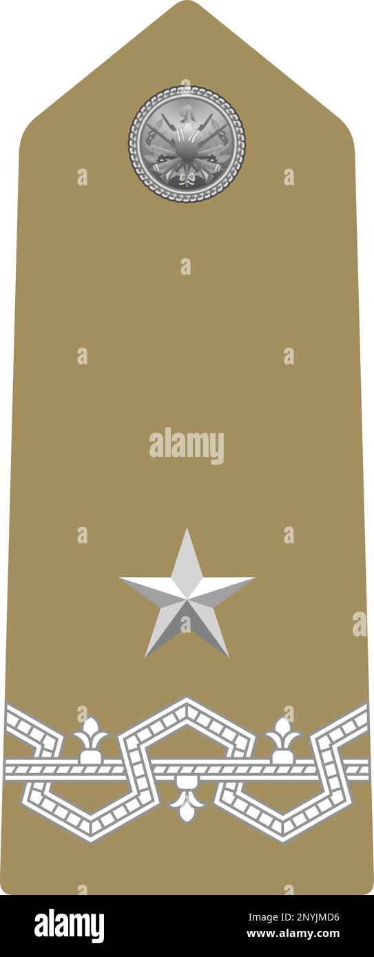 Shoulder pad military officer insignia of the Italy GENERALE DI BRIGATA (BRIGADIER GENERAL) Stock Vector