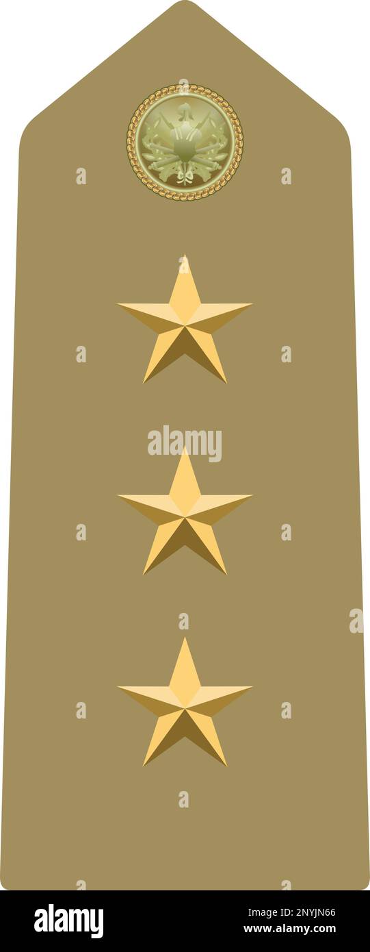 Shoulder pad military officer insignia of the Italy CAPITANO (CAPTAIN) Stock Vector
