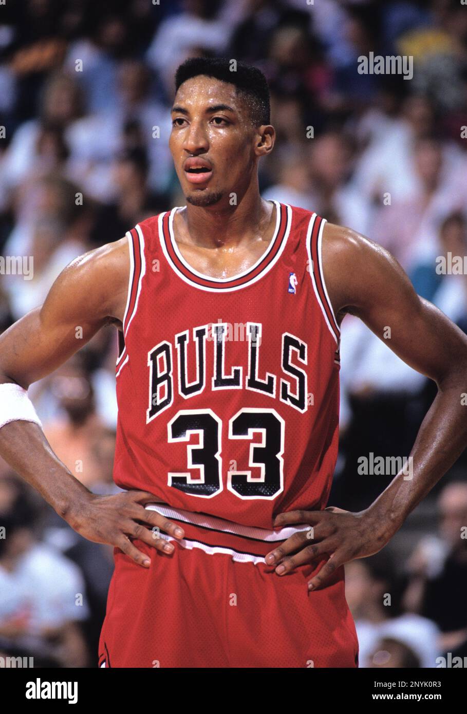 Forward Scottie Pippen (33) of the Chicago Bulls sets for play against the  Miami Heat in 1994. (Al Messerschmidt via AP Stock Photo - Alamy