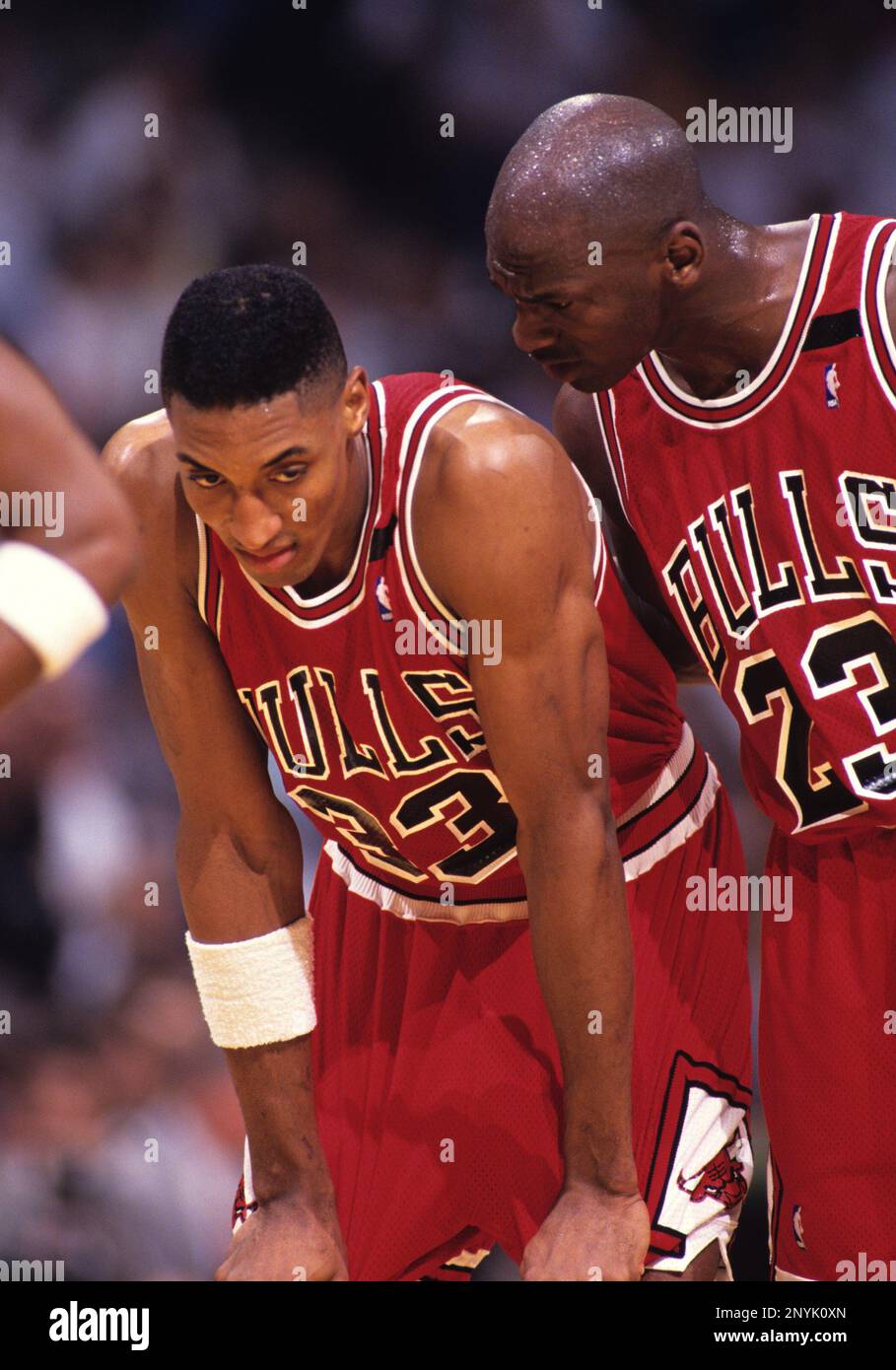 The Chicago Bulls' Scottie Pippen talks with reporters Tuesday, June 11,  1996, in Seattle. The Bulls lead the Seattle SuperSonics 3-0 in the NBA  Finals. Game 4 is Wednesday in Seattle. (AP Photo/Elaine Thompson Stock  Photo - Alamy