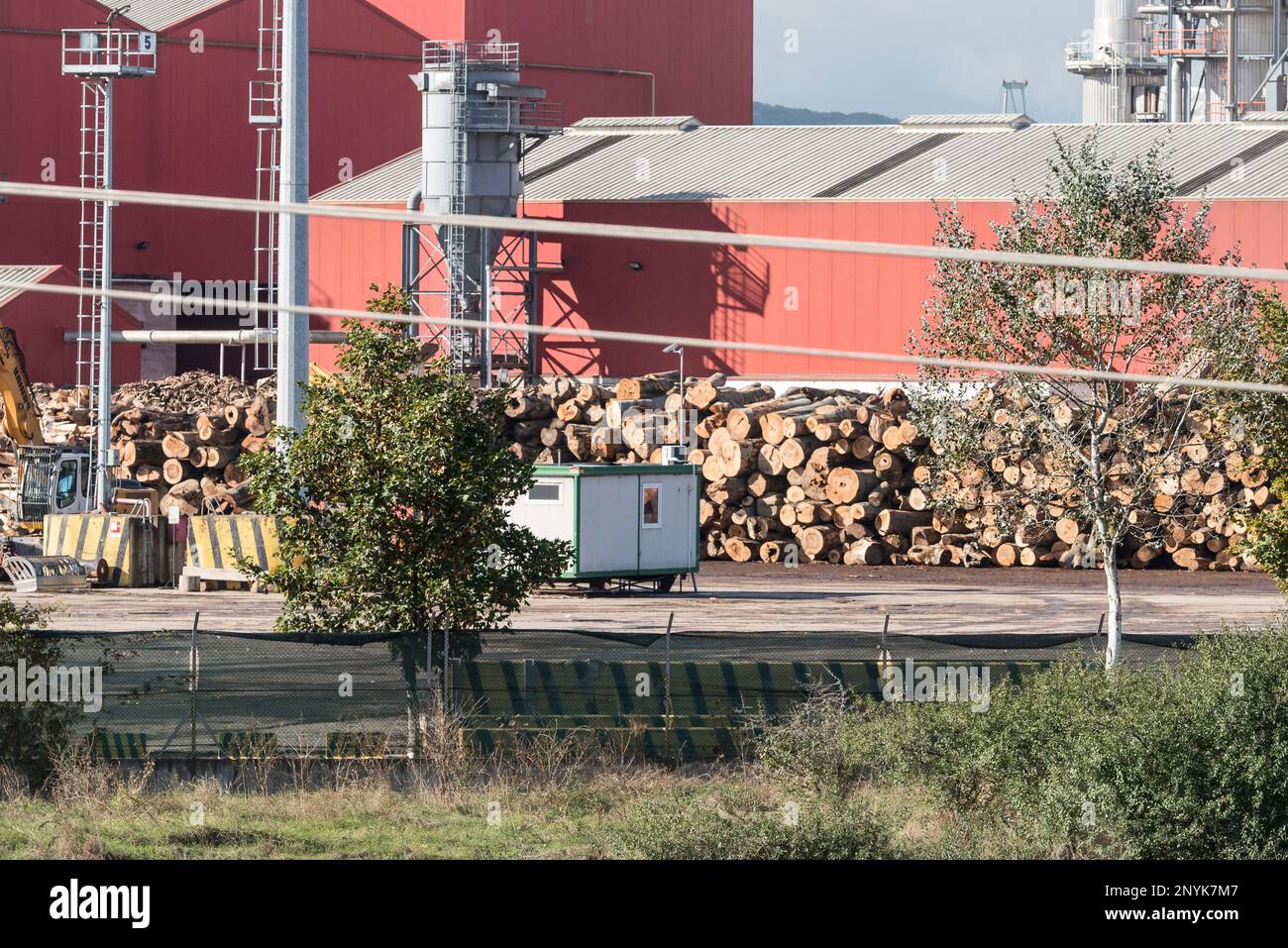 Sebes, Rumänien - Oktober 2016: Holzlagerplatz der Firma Kronospan in Sebens. Die alten Buchenstämme im Bild stammen mit hoher Wahscheinlichkeit aus u Stock Photo