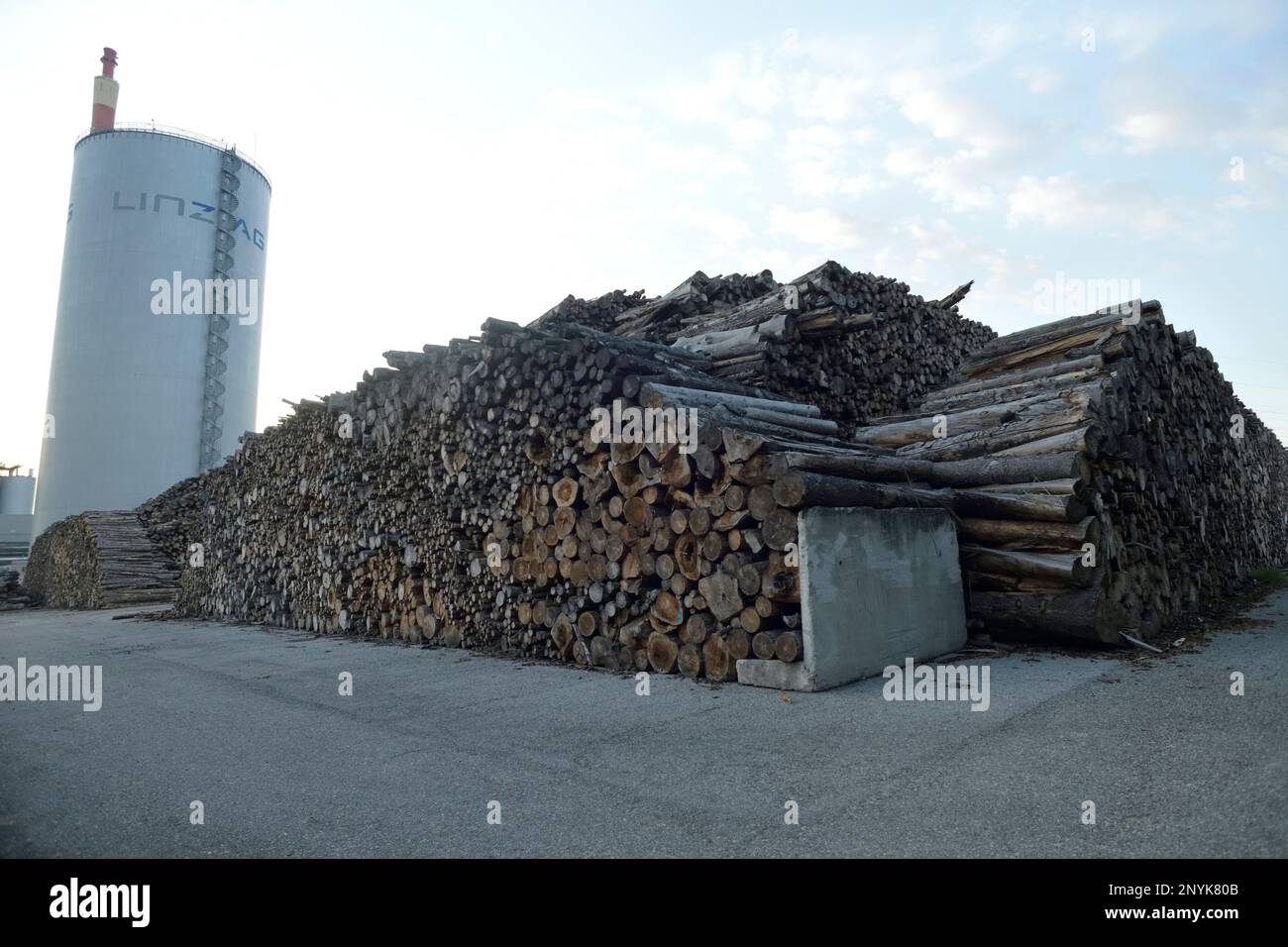Biomass power plant - Linz - Austria Stock Photo