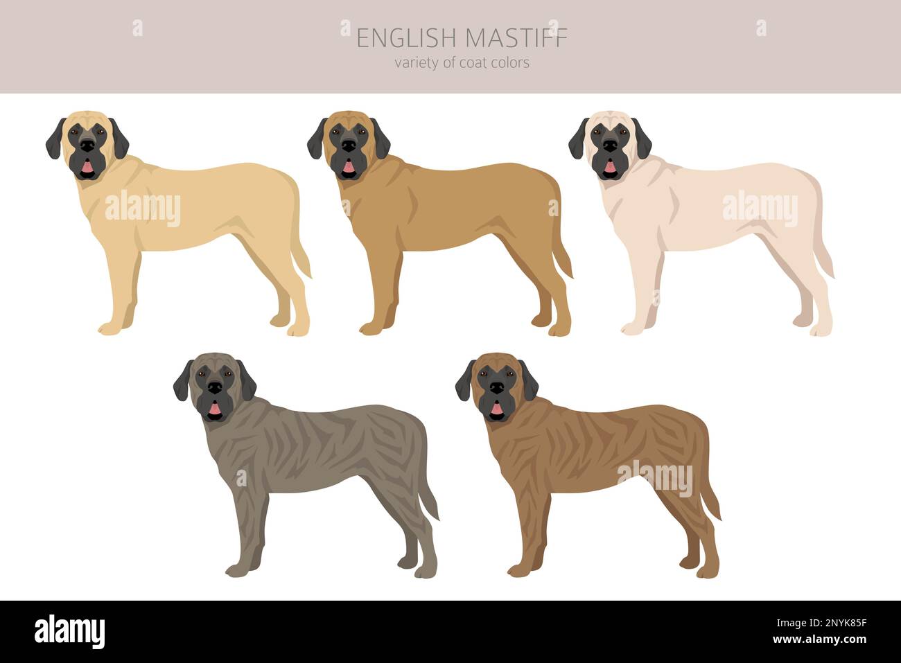 Old English Sheepdog Clipart. Different Poses, Coat Colors Set. Vector  Illustration Royalty Free SVG, Cliparts, Vectors, and Stock Illustration.  Image 180926946.