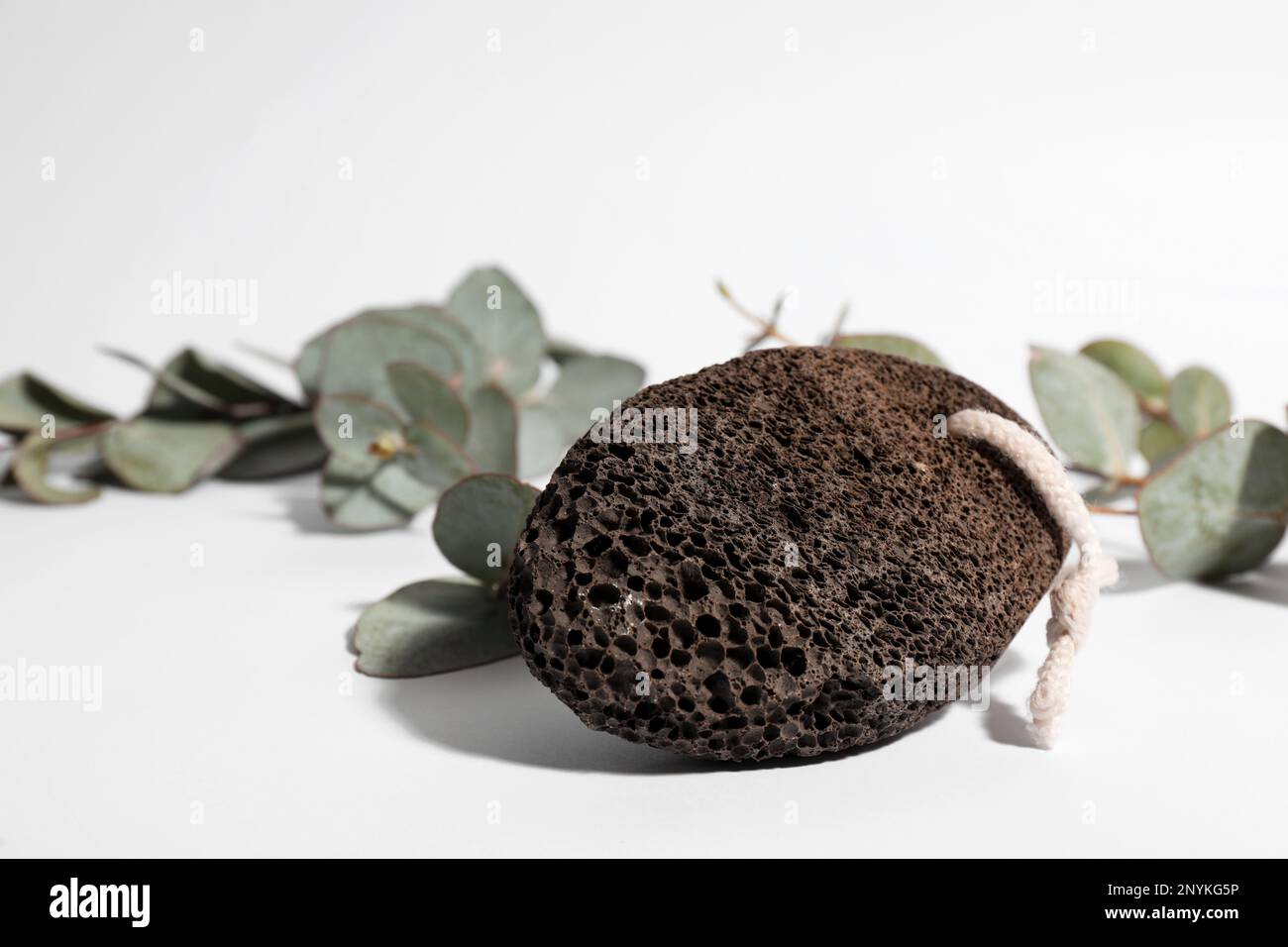 Pumice stone and eucalyptus on white background Stock Photo Alamy