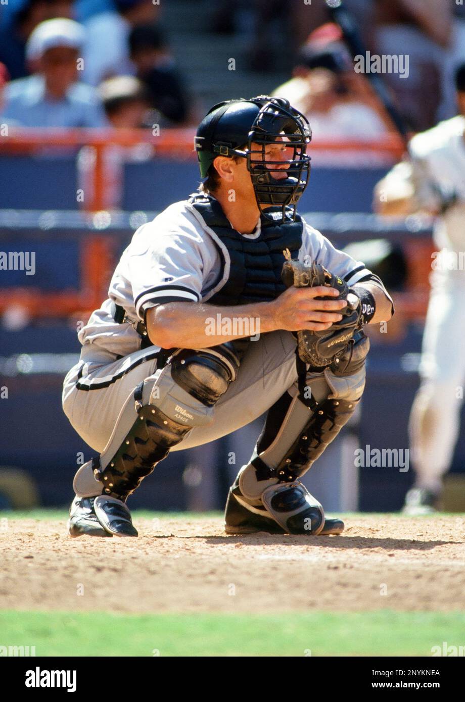 20 Jun. 1993: Chicago White Sox catcher Carlton Fisk (72) in action during  a game against the California Angels played at Anaheim Stadium in Anaheim,  CA. (Photo By John Cordes/Icon Sportswire) (Icon