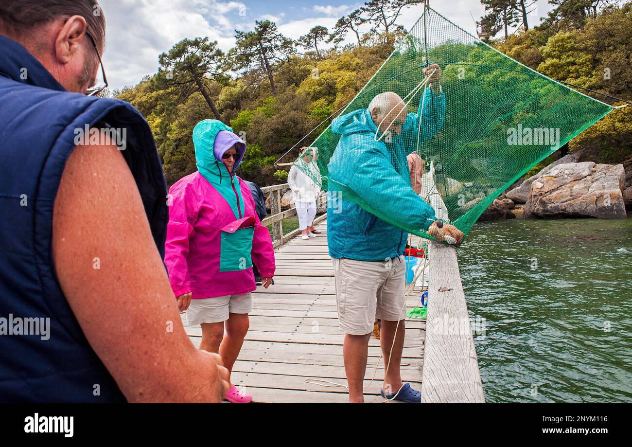 Fisherman with carrelet fishing nets in wooden footbridge, Le Bois de