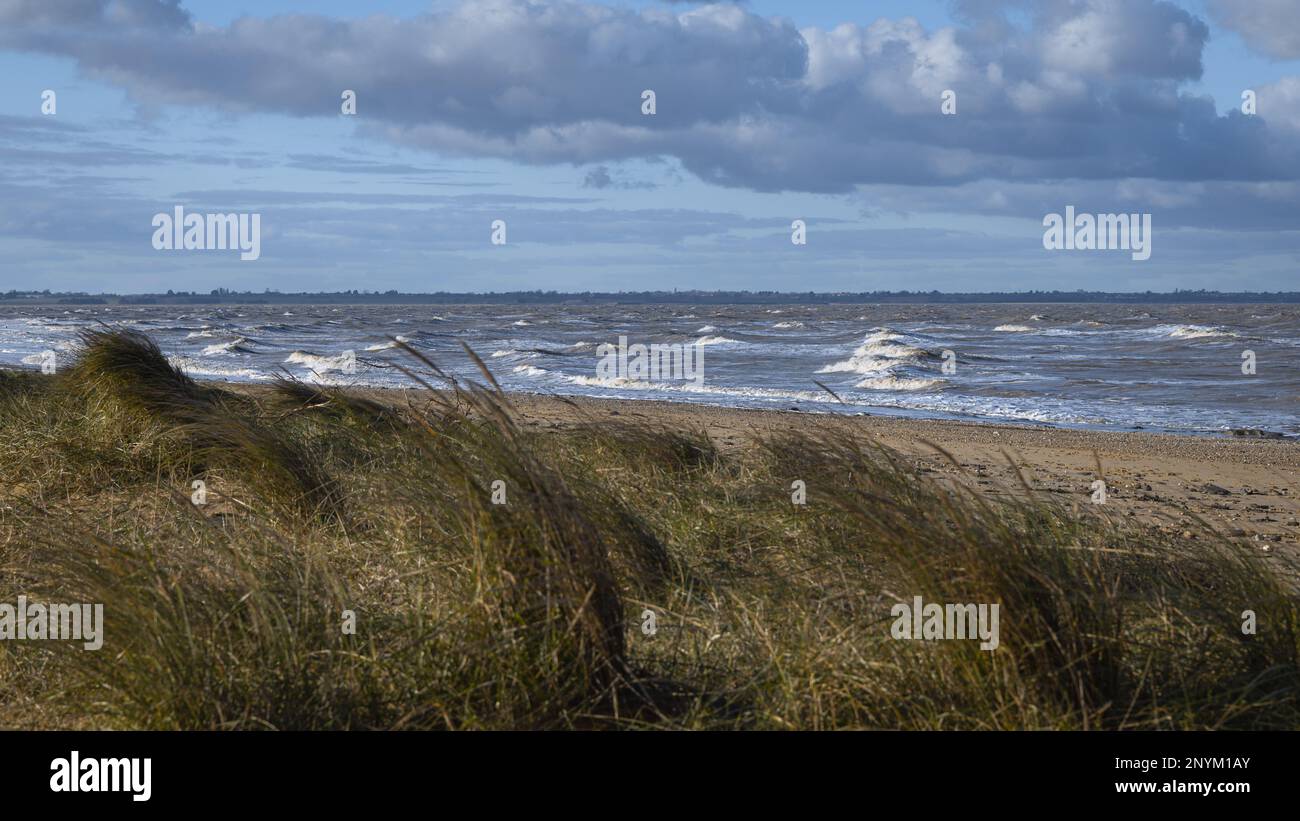 Seascape with maram grass in Walton on the Naze in Essex. Windy, cold, winter day. Stock Photo