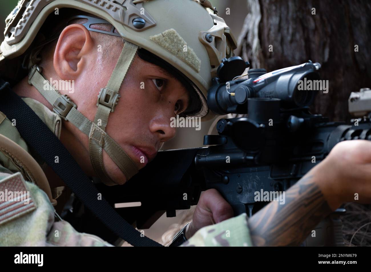 Taisipic hires stock photography and images Alamy