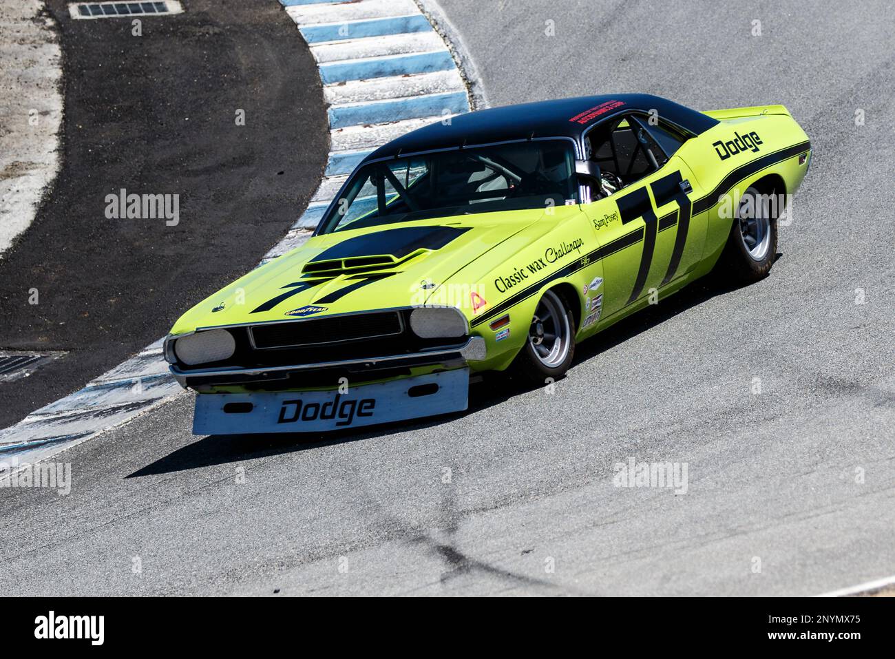 LAGUNA SECA, CA - MAY 20: A 1970 Dodge Challenger driven by Richard  Goldsmith from Gilroy, CA (#77) at the corkscrew during Grp C competition  at the Spring Classic races held May, image size:1300x957