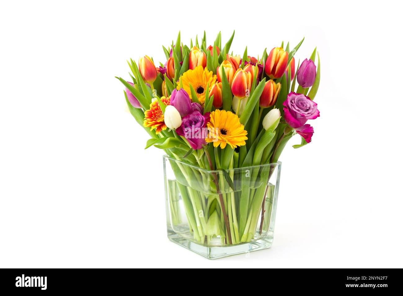 flowers in a vase on white background Stock Photo - Alamy