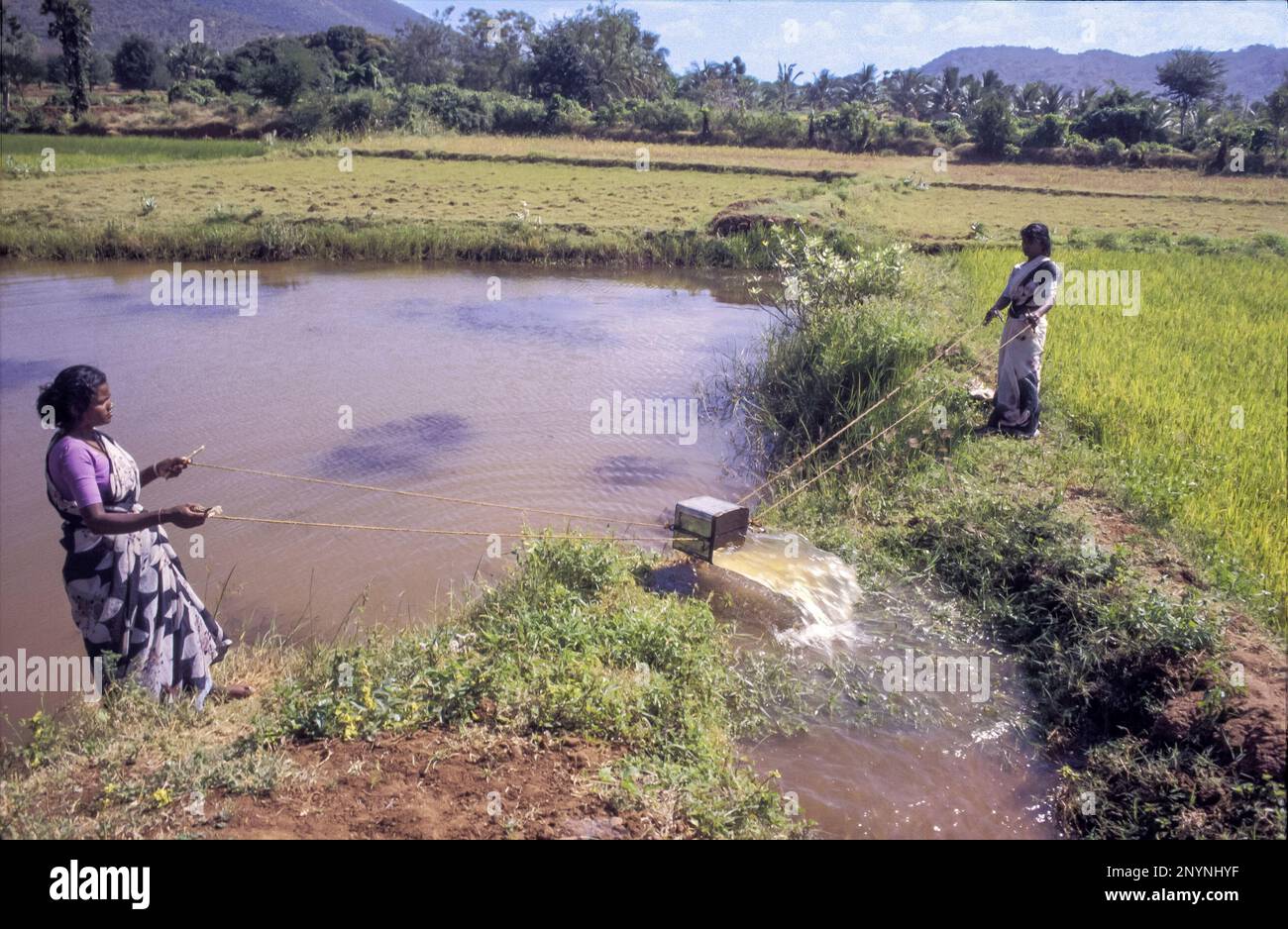 India, Tamil Nadu. Manual irrigation Stock Photo Alamy