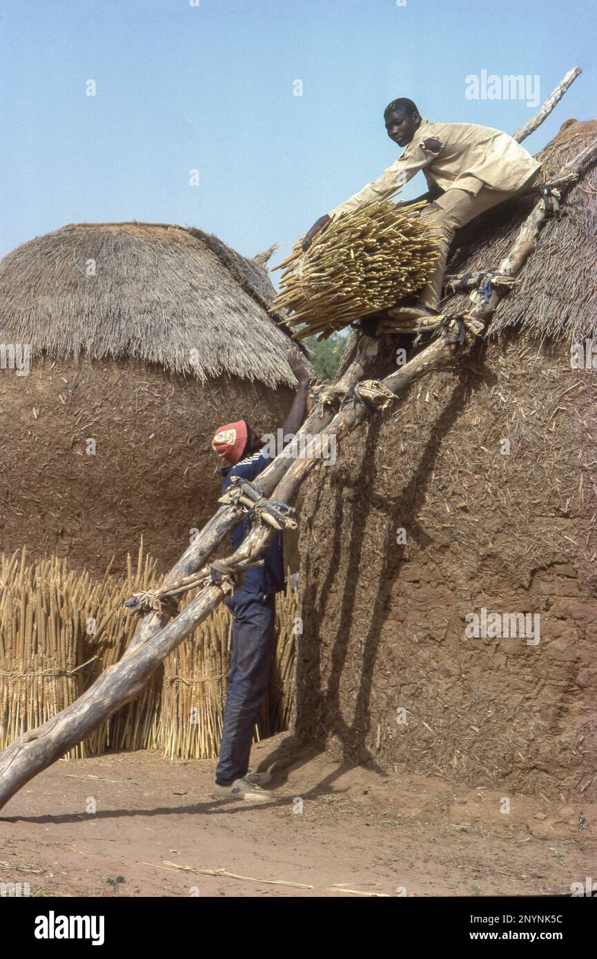 Niger, men storing the millet harvest in an adobe house to prevent