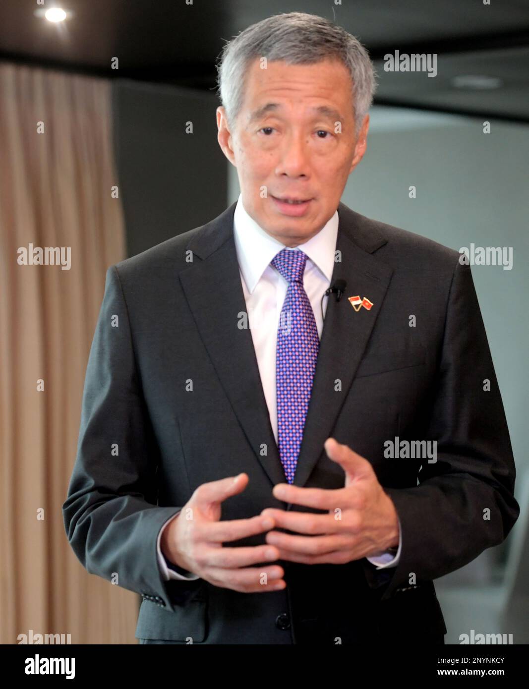 Prime Minister Lee Hsien Loong said that his sister Lee wei Ling once had  