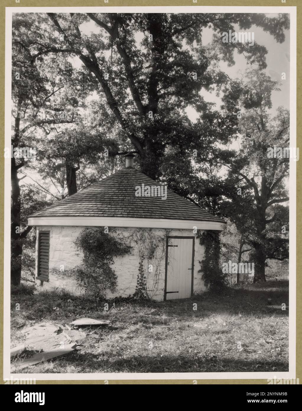 Hamstead, Albemarle County, Virginia. Carnegie Survey of the ...