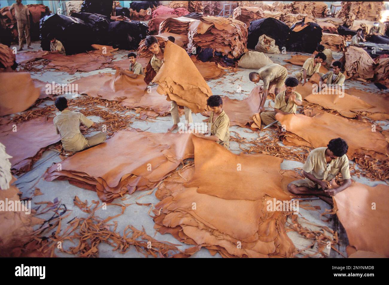 India Tamil Nadu Ratipet A Tannery Stock Photo Alamy india-tamil-nadu-ratipet-a-tannery-stock-photo-alamy