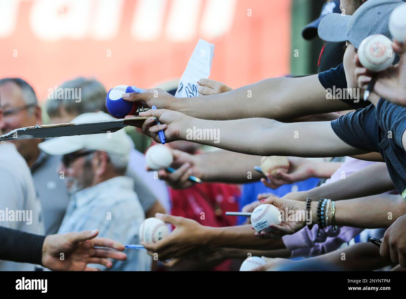 New York Yankees fans Jennifer Stanbrough, right, and Gina Baker, from  Rochester, N.Y., watch batting practice prior to the spring baseball game  between the New York Yankees and the Houston Astros Wednesday