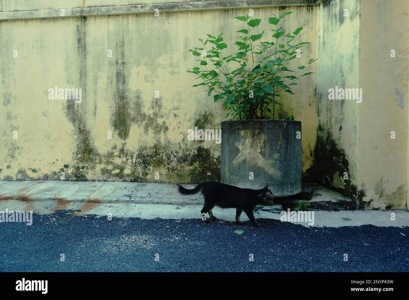 Penang, View Stock Photo