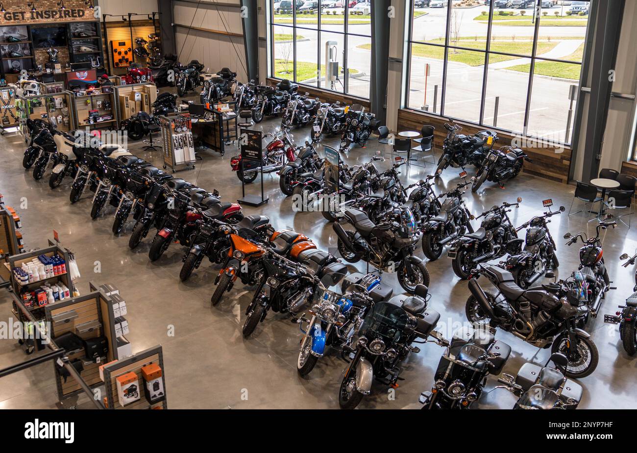 HarleyDavidson motorcycles for sale parked inside the showroom of the