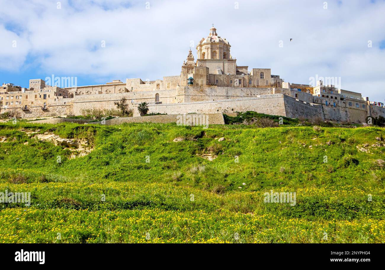 Fortified city called Mdina Maltese L-Imdina in Malta, Europe. City seen from outside of fort and walls, lush green fields around the city. Stock Photo