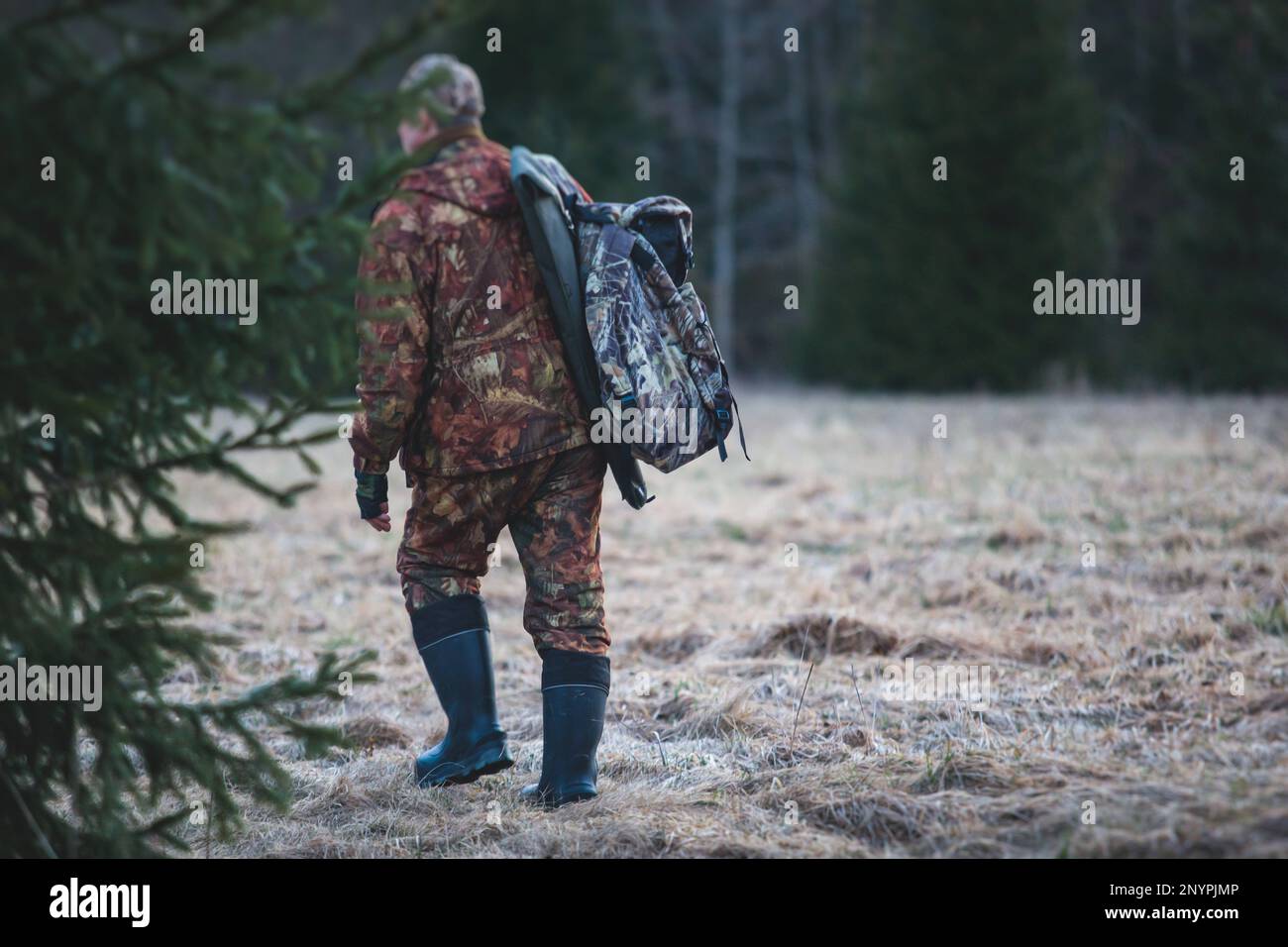 A process of hunting during spring hunting season, process of duck