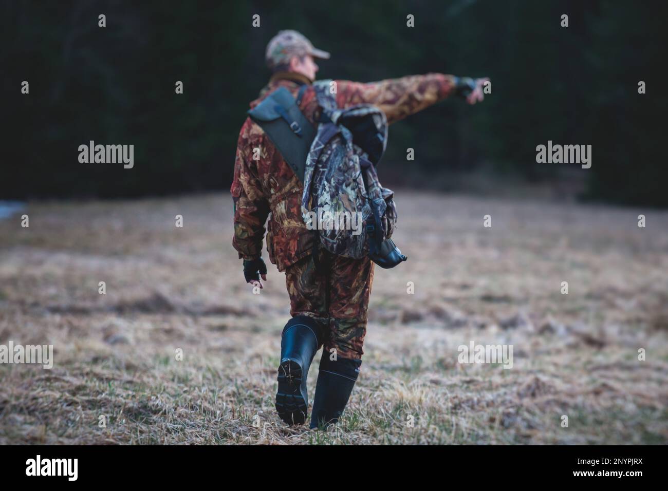 A process of hunting during spring hunting season, process of duck