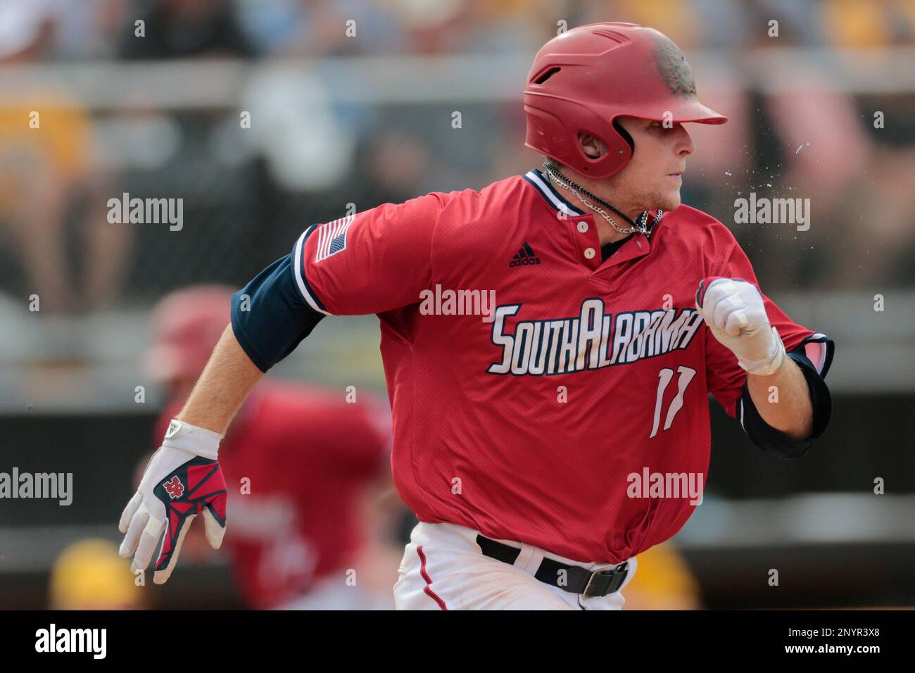 Brendan Donovan - Baseball - University of South Alabama Athletics
