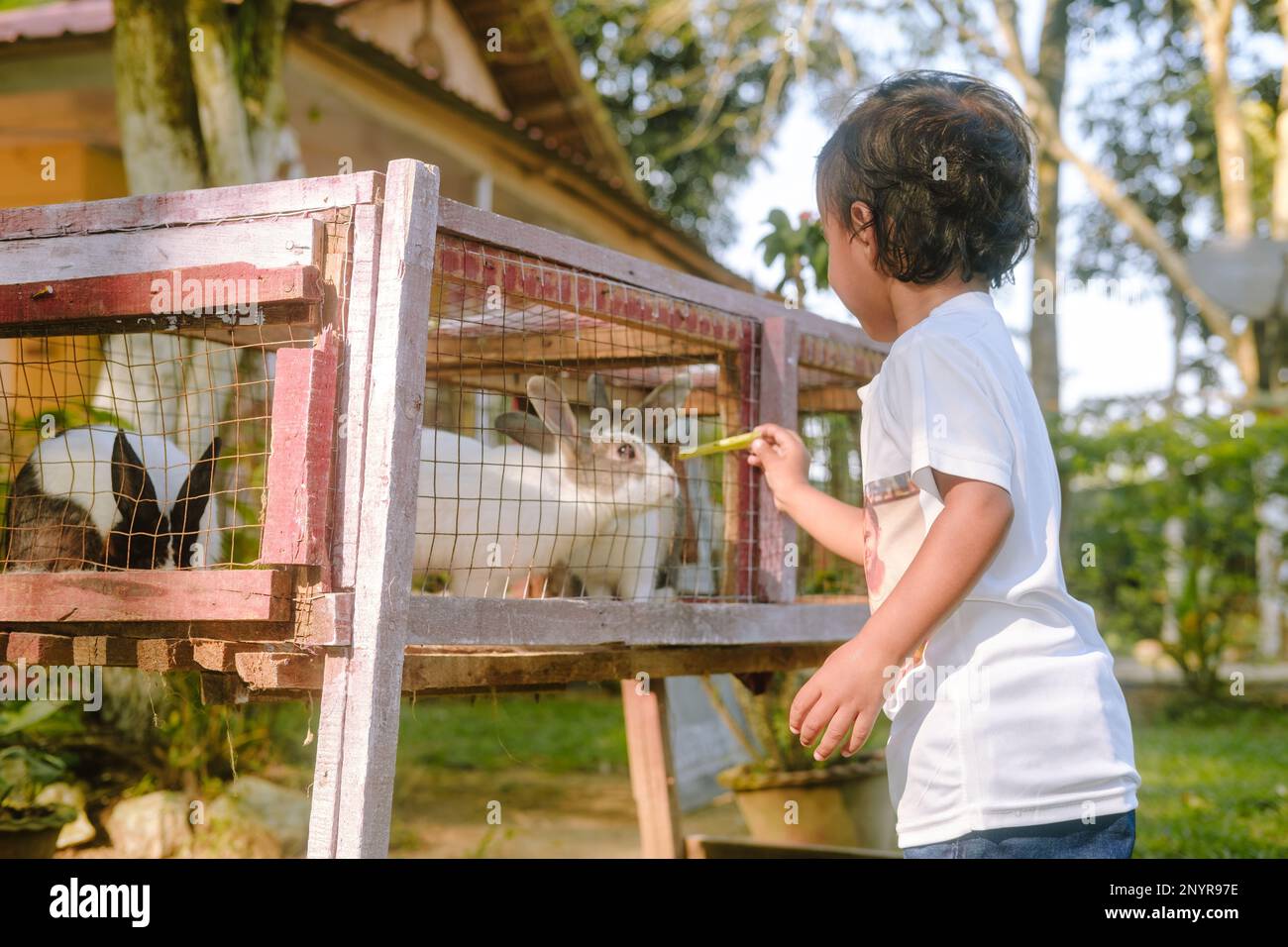 A Child feeding a rabbit at a Zoo,Guwahati,India Stock Photo