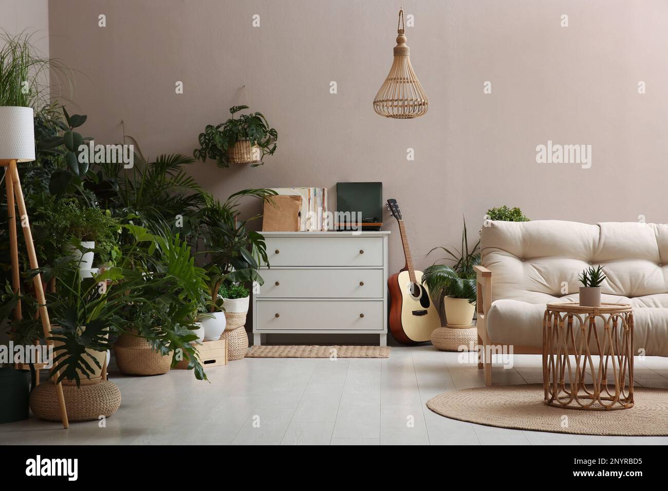 Living room interior with stylish furniture and different houseplants ...
