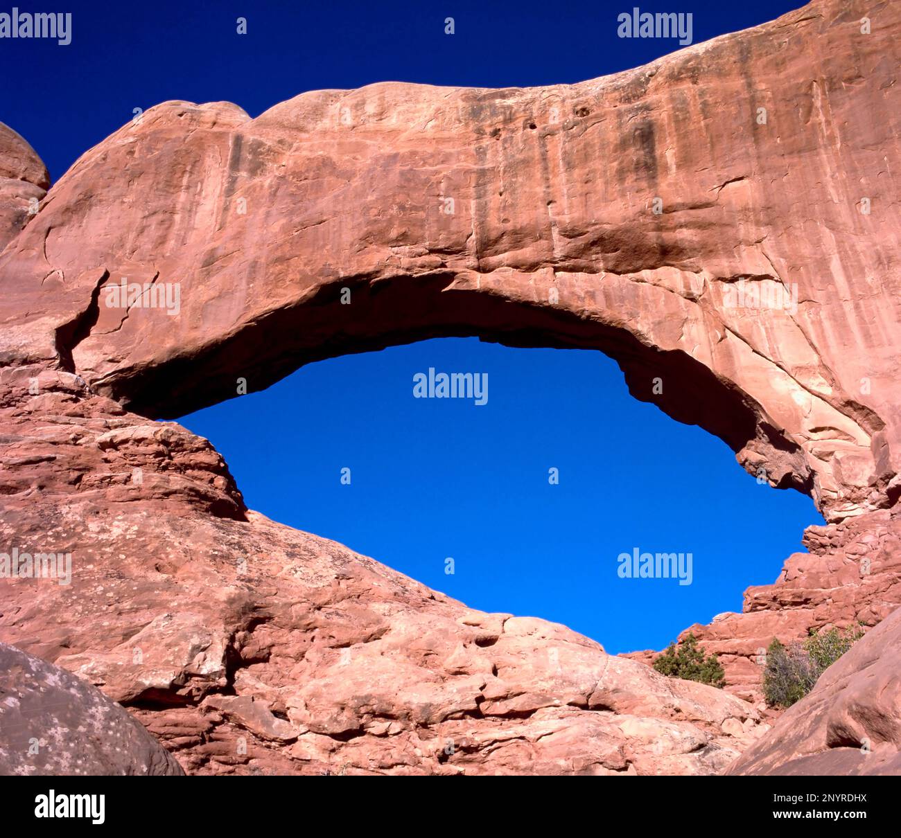 A natural bridge against clear blue sky without people at Natural Bridges National Monument, Utah, USA Stock Photo