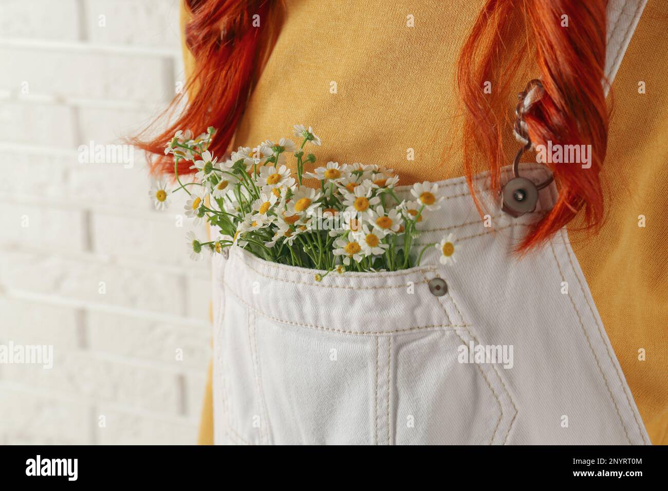 Woman with beautiful tender chamomile flowers in white jumpsuit's pocket, closeup Stock Photo